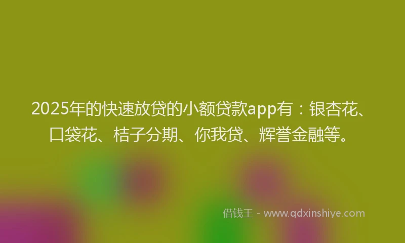 2025年的快速放贷的小额贷款app有：银杏花、口袋花、桔子分期、你我贷、辉誉金融等。