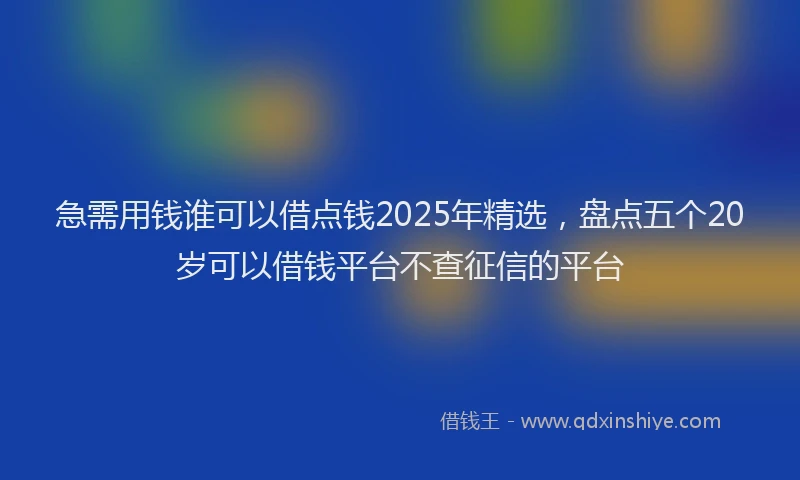 急需用钱谁可以借点钱2025年精选，盘点五个20岁可以借钱平台不查征信的平台
