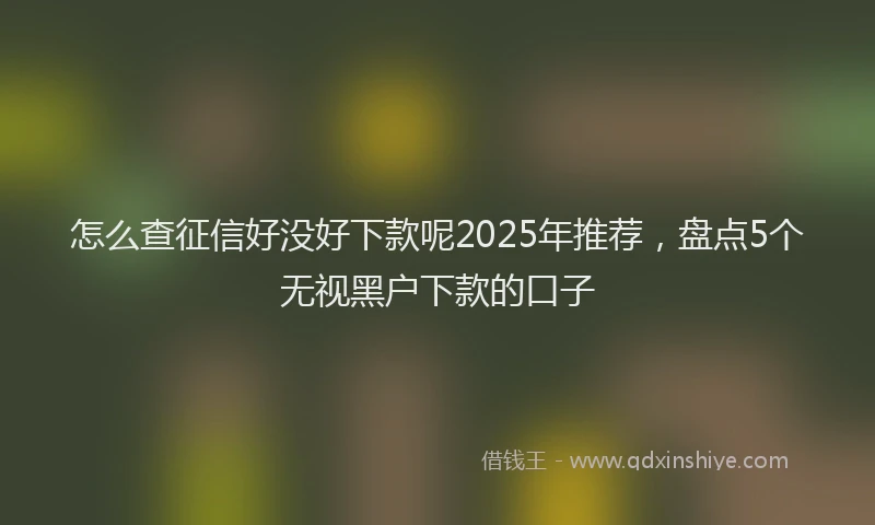 怎么查征信好没好下款呢2025年推荐，盘点5个无视黑户下款的口子