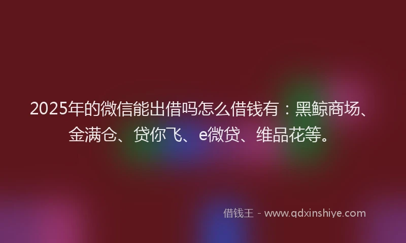 2025年的微信能出借吗怎么借钱有：黑鲸商场、金满仓、贷你飞、e微贷、维品花等。