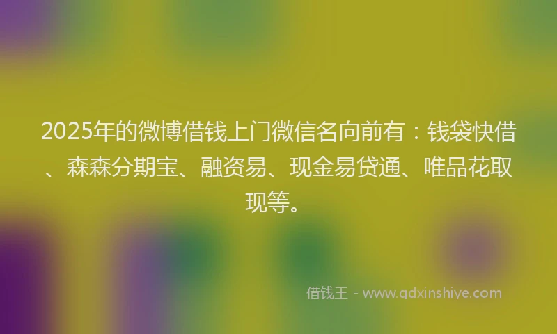 2025年的微博借钱上门微信名向前有：钱袋快借、森森分期宝、融资易、现金易贷通、唯品花取现等。