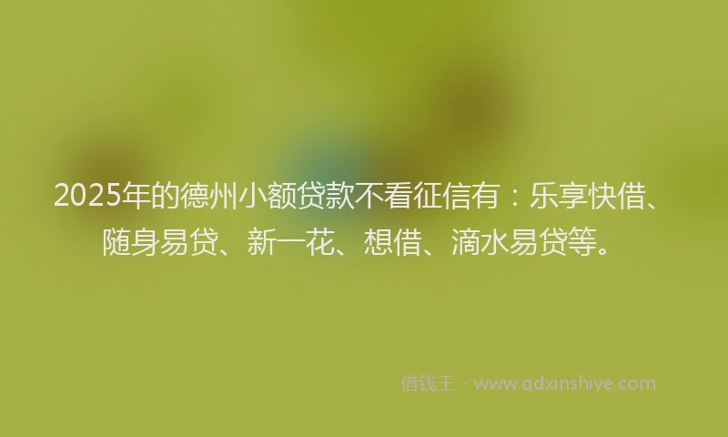 2025年的德州小额贷款不看征信有：乐享快借、随身易贷、新一花、想借、滴水易贷等。