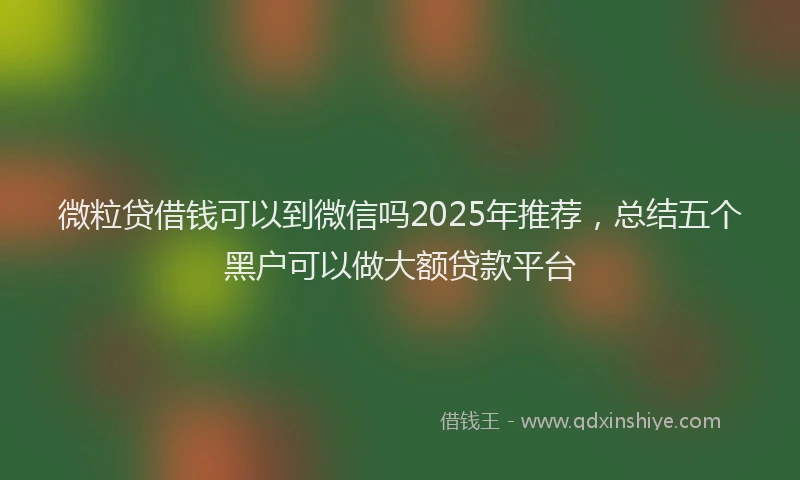 微粒贷借钱可以到微信吗2025年推荐，总结五个黑户可以做大额贷款平台