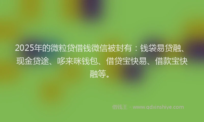2025年的微粒贷借钱微信被封有：钱袋易贷融、现金贷途、哆来咪钱包、借贷宝快易、借款宝快融等。