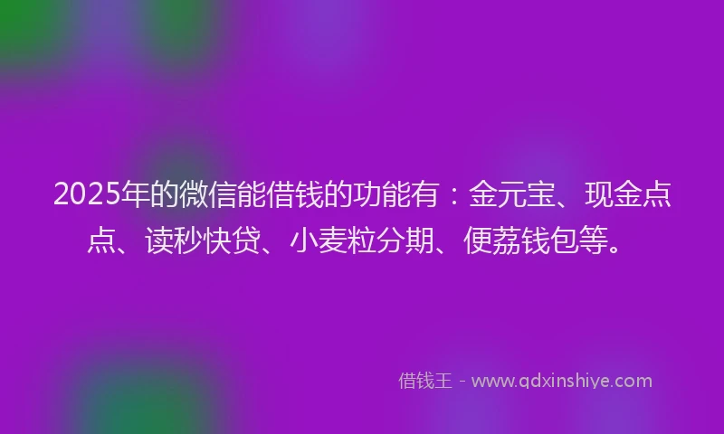 2025年的微信能借钱的功能有：金元宝、现金点点、读秒快贷、小麦粒分期、便荔钱包等。