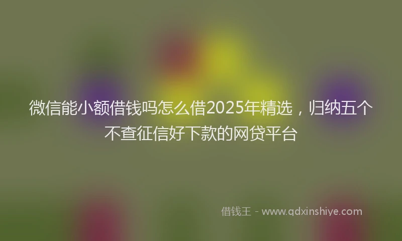 微信能小额借钱吗怎么借2025年精选，归纳五个不查征信好下款的网贷平台
