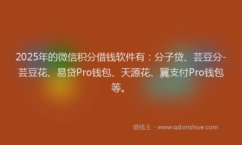 2025年的微信积分借钱软件有：分子贷、芸豆分-芸豆花、易贷Pro钱包、天源花、翼支付Pro钱包等。
