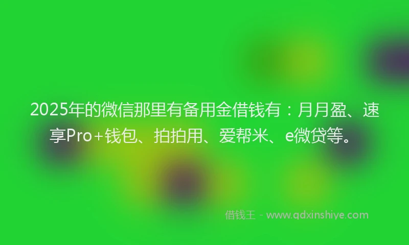 2025年的微信那里有备用金借钱有：月月盈、速享Pro+钱包、拍拍用、爱帮米、e微贷等。