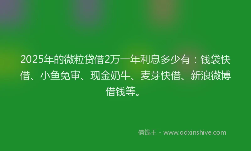 2025年的微粒贷借2万一年利息多少有：钱袋快借、小鱼免审、现金奶牛、麦芽快借、新浪微博借钱等。