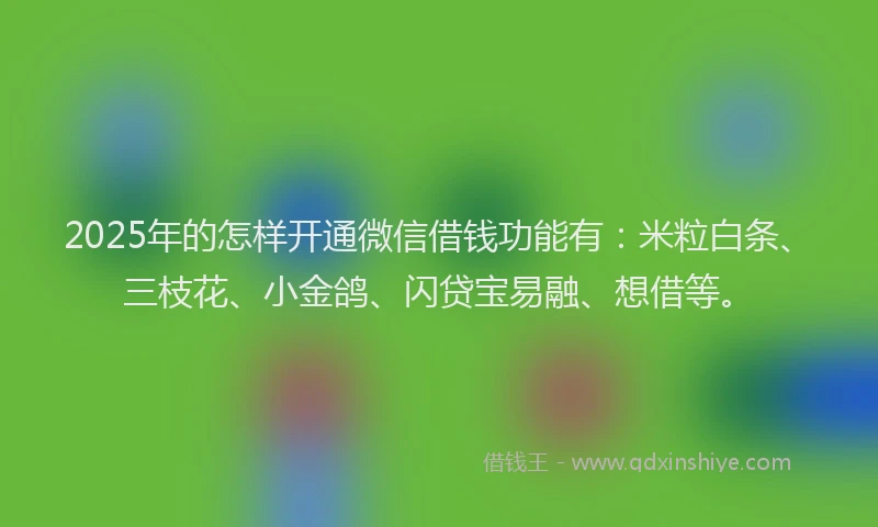2025年的怎样开通微信借钱功能有：米粒白条、三枝花、小金鸽、闪贷宝易融、想借等。