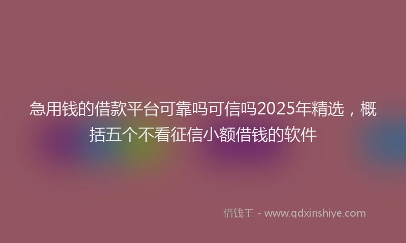 急用钱的借款平台可靠吗可信吗2025年精选，概括五个不看征信小额借钱的软件