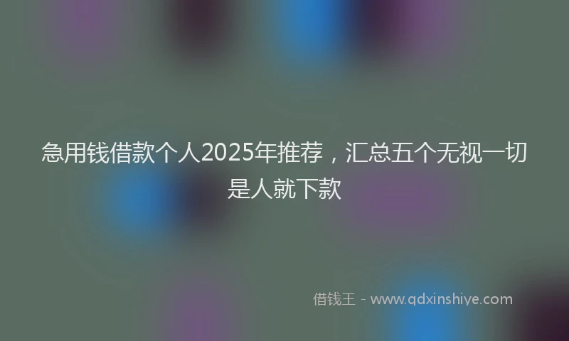 急用钱借款个人2025年推荐，汇总五个无视一切是人就下款