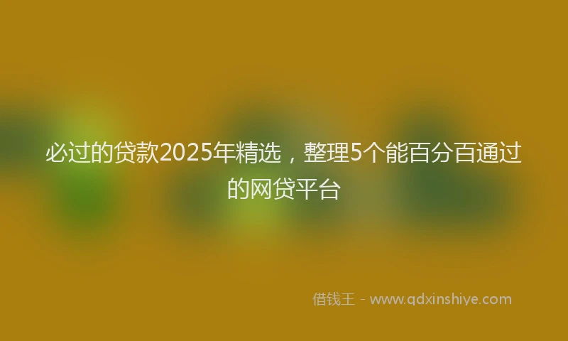 必过的贷款2025年精选，整理5个能百分百通过的网贷平台
