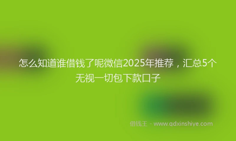 怎么知道谁借钱了呢微信2025年推荐，汇总5个无视一切包下款口子