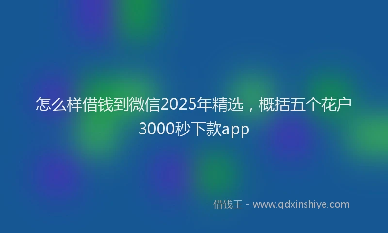 怎么样借钱到微信2025年精选，概括五个花户3000秒下款app