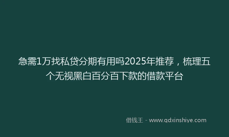 急需1万找私贷分期有用吗2025年推荐，梳理五个无视黑白百分百下款的借款平台