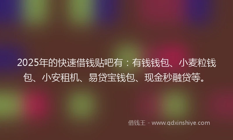 2025年的快速借钱贴吧有：有钱钱包、小麦粒钱包、小安租机、易贷宝钱包、现金秒融贷等。