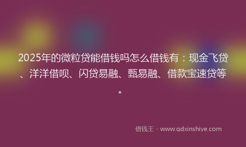 2025年的微粒贷能借钱吗怎么借钱有：现金飞贷、洋洋借呗、闪贷易融、甄易融、借款宝速贷等。