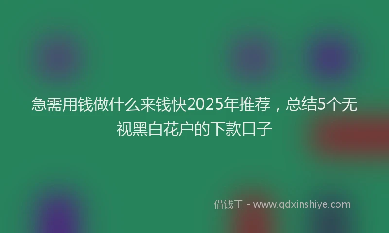 急需用钱做什么来钱快2025年推荐，总结5个无视黑白花户的下款口子