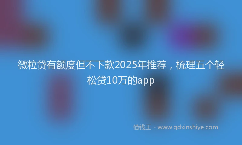 微粒贷有额度但不下款2025年推荐，梳理五个轻松贷10万的app