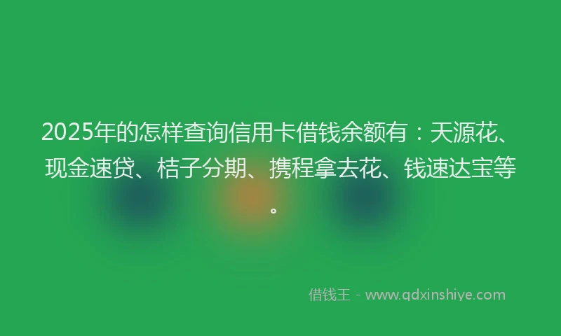 2025年的怎样查询信用卡借钱余额有：天源花、现金速贷、桔子分期、携程拿去花、钱速达宝等。