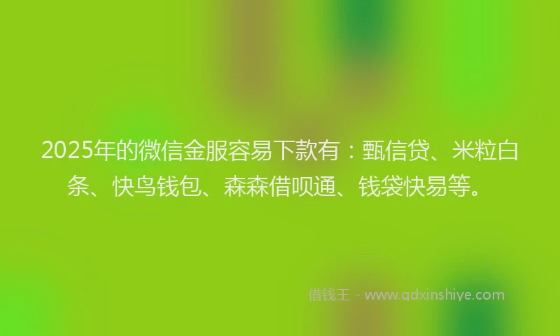2025年的微信金服容易下款有：甄信贷、米粒白条、快鸟钱包、森森借呗通、钱袋快易等。