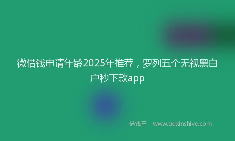 微借钱申请年龄2025年推荐，罗列五个无视黑白户秒下款app