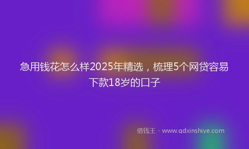急用钱花怎么样2025年精选，梳理5个网贷容易下款18岁的口子