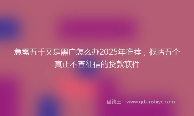 急需五千又是黑户怎么办2025年推荐，概括五个真正不查征信的贷款软件