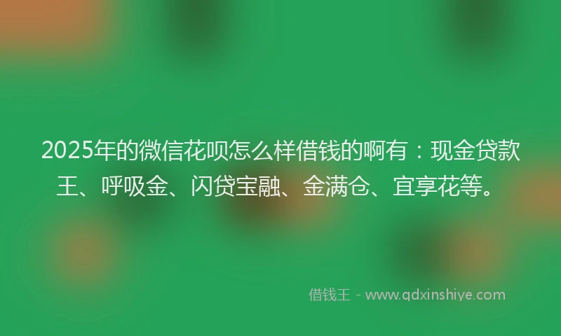 2025年的微信花呗怎么样借钱的啊有：现金贷款王、呼吸金、闪贷宝融、金满仓、宜享花等。