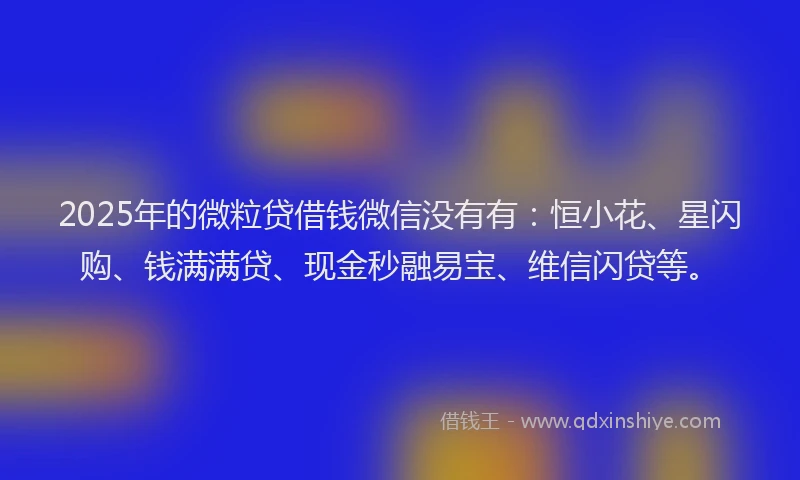2025年的微粒贷借钱微信没有有：恒小花、星闪购、钱满满贷、现金秒融易宝、维信闪贷等。