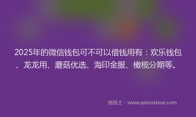2025年的微信钱包可不可以借钱用有：欢乐钱包、龙龙用、蘑菇优选、海印金服、橄榄分期等。