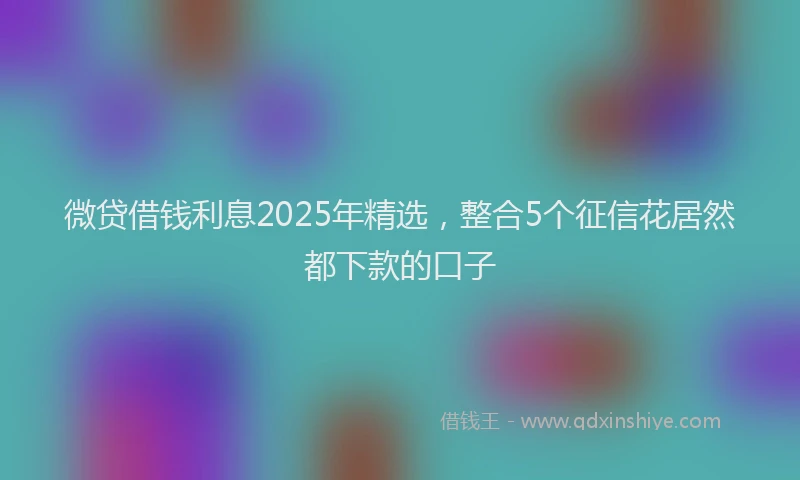 微贷借钱利息2025年精选，整合5个征信花居然都下款的口子