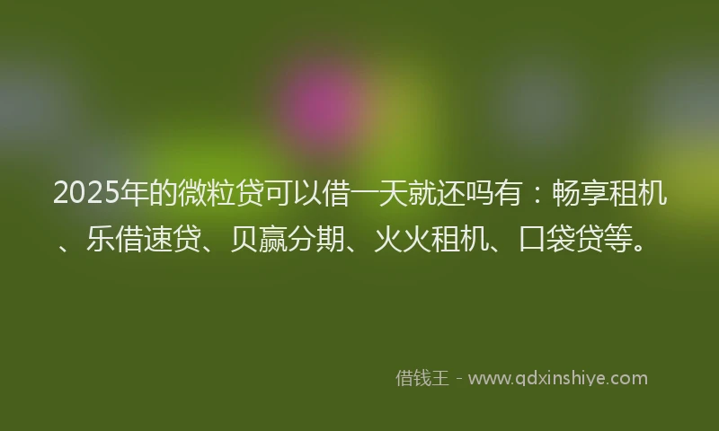 2025年的微粒贷可以借一天就还吗有：畅享租机、乐借速贷、贝赢分期、火火租机、口袋贷等。