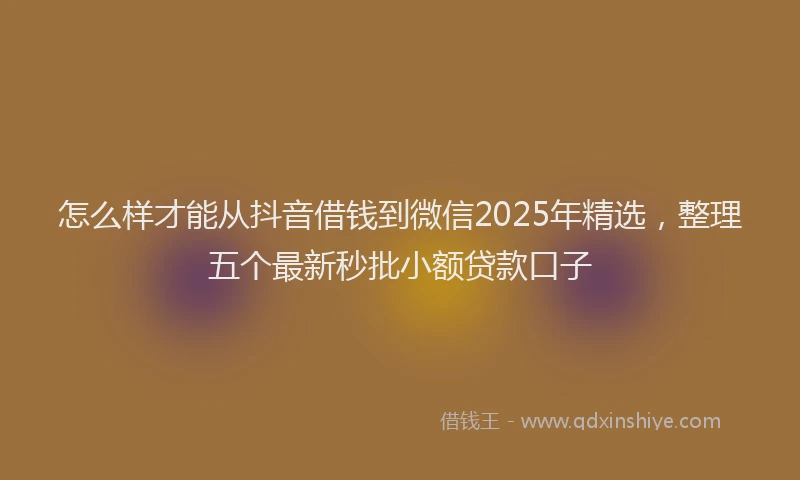 怎么样才能从抖音借钱到微信2025年精选，整理五个最新秒批小额贷款口子