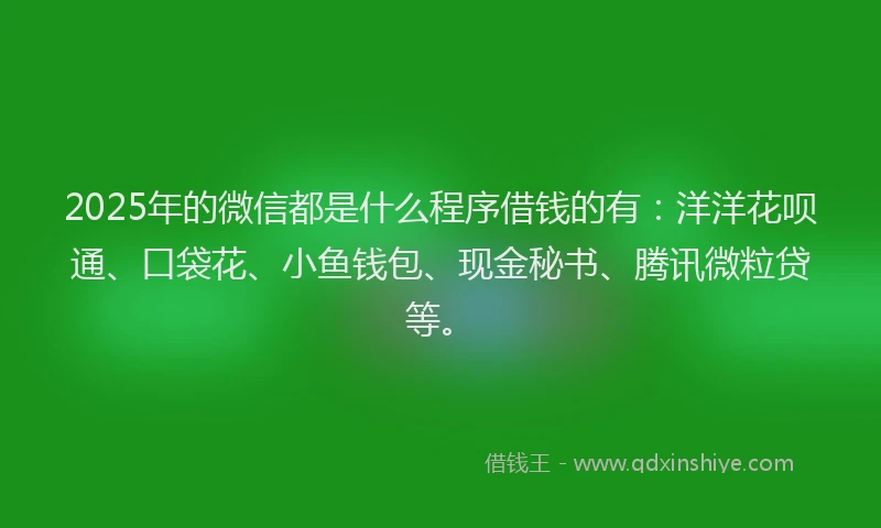2025年的微信都是什么程序借钱的有：洋洋花呗通、口袋花、小鱼钱包、现金秘书、腾讯微粒贷等。