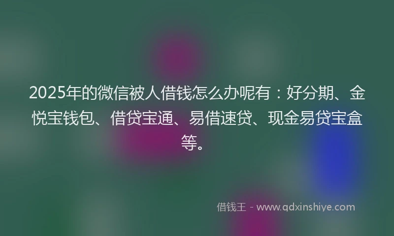 2025年的微信被人借钱怎么办呢有：好分期、金悦宝钱包、借贷宝通、易借速贷、现金易贷宝盒等。