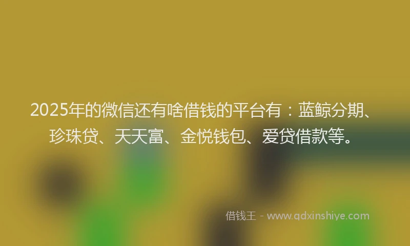 2025年的微信还有啥借钱的平台有：蓝鲸分期、珍珠贷、天天富、金悦钱包、爱贷借款等。