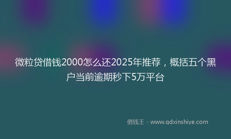 微粒贷借钱2000怎么还2025年推荐，概括五个黑户当前逾期秒下5万平台