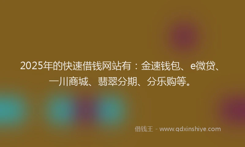 2025年的快速借钱网站有：金速钱包、e微贷、一川商城、翡翠分期、分乐购等。