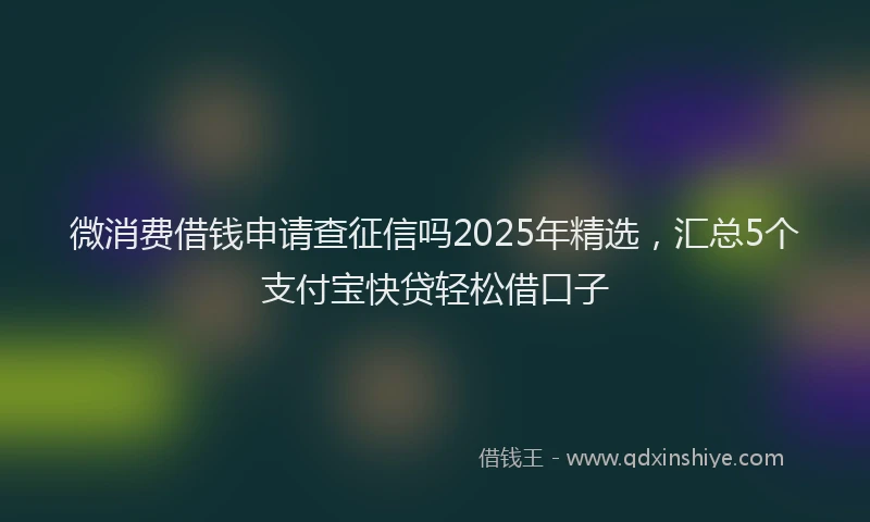 微消费借钱申请查征信吗2025年精选，汇总5个支付宝快贷轻松借口子