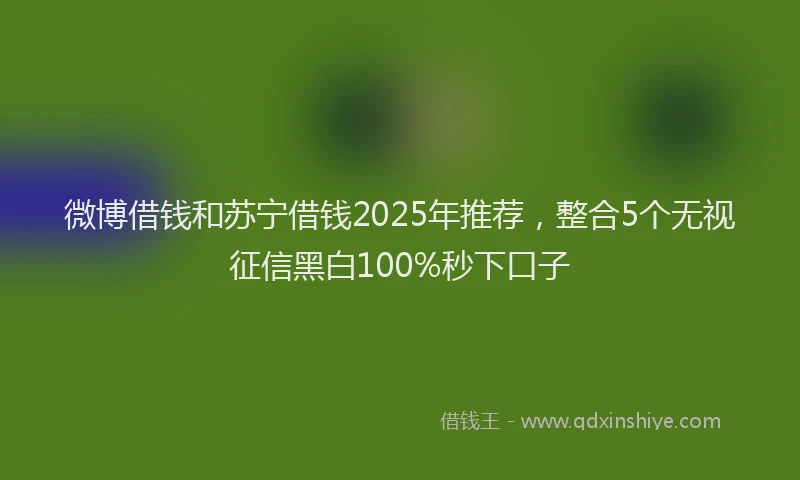微博借钱和苏宁借钱2025年推荐，整合5个无视征信黑白100%秒下口子