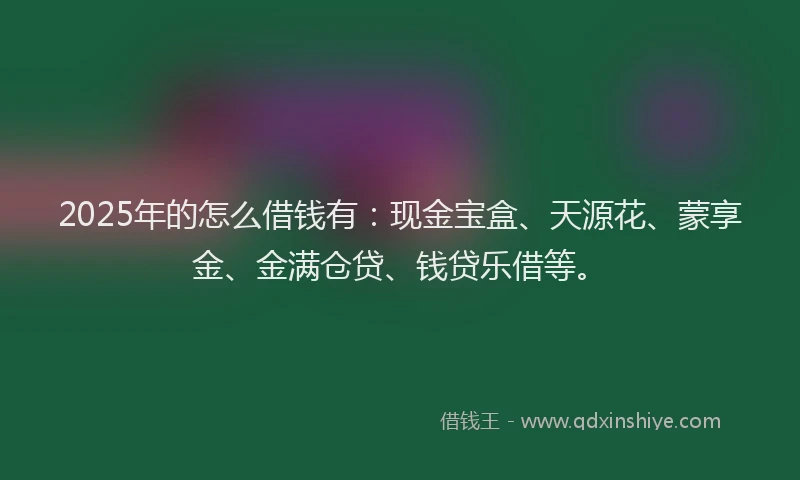 2025年的怎么借钱有：现金宝盒、天源花、蒙享金、金满仓贷、钱贷乐借等。