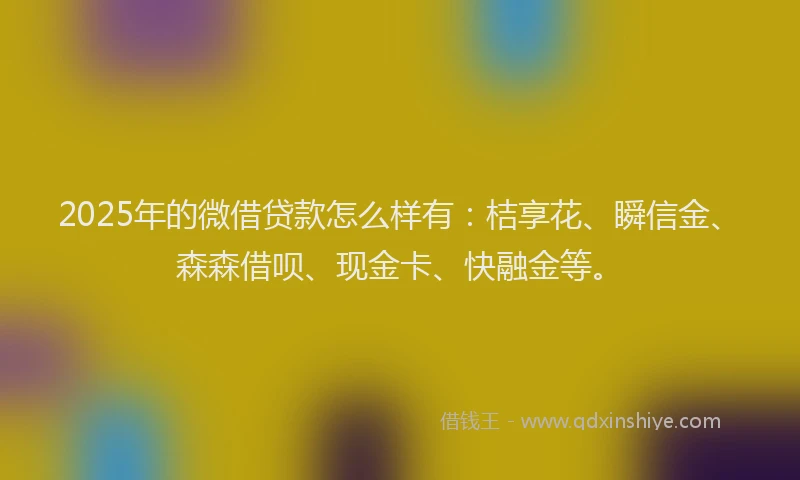 2025年的微借贷款怎么样有：桔享花、瞬信金、森森借呗、现金卡、快融金等。
