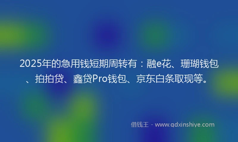 2025年的急用钱短期周转有：融e花、珊瑚钱包、拍拍贷、鑫贷Pro钱包、京东白条取现等。