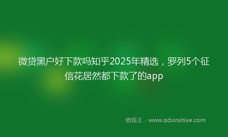 微贷黑户好下款吗知乎2025年精选，罗列5个征信花居然都下款了的app