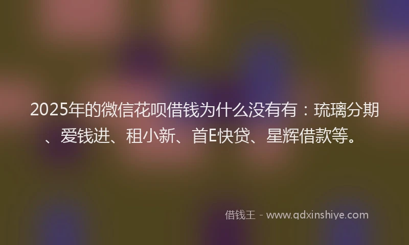2025年的微信花呗借钱为什么没有有：琉璃分期、爱钱进、租小新、首E快贷、星辉借款等。