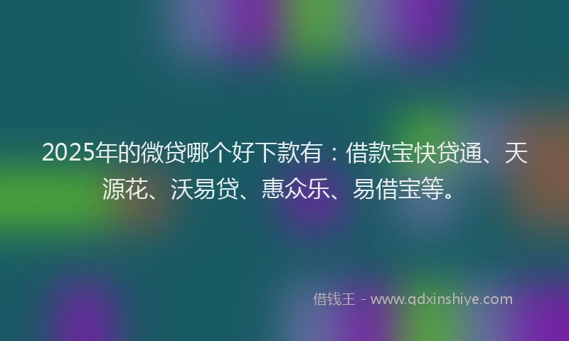 2025年的微贷哪个好下款有：借款宝快贷通、天源花、沃易贷、惠众乐、易借宝等。