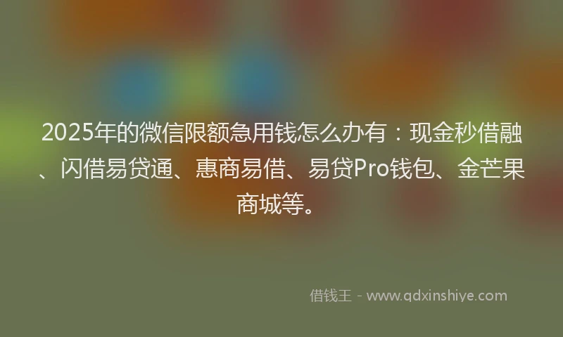 2025年的微信限额急用钱怎么办有：现金秒借融、闪借易贷通、惠商易借、易贷Pro钱包、金芒果商城等。