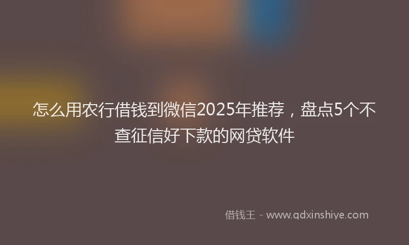怎么用农行借钱到微信2025年推荐，盘点5个不查征信好下款的网贷软件